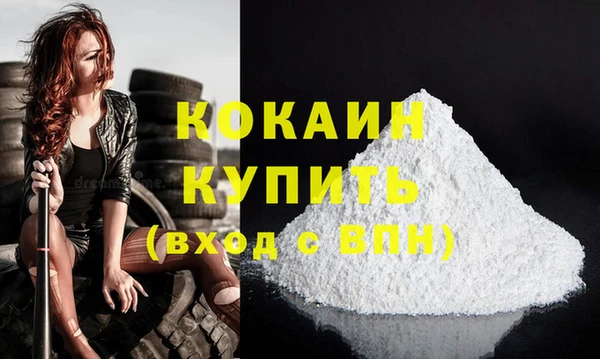 индика Белокуриха