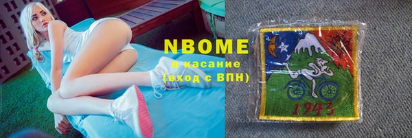 индика Белокуриха