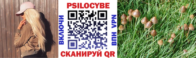 Купить Бодайбо Псилоцибиновые грибы мицелий