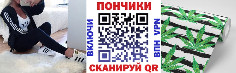 Канабис сатива Купить Бодайбо